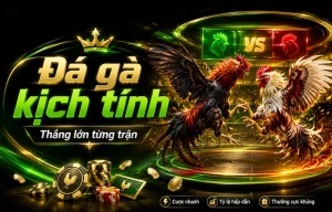 Giao diện sảnh Đá Gà healthytotalyou